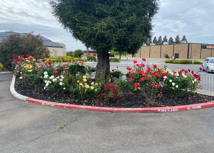 Oasis Inn Sacramento- Elk Grove