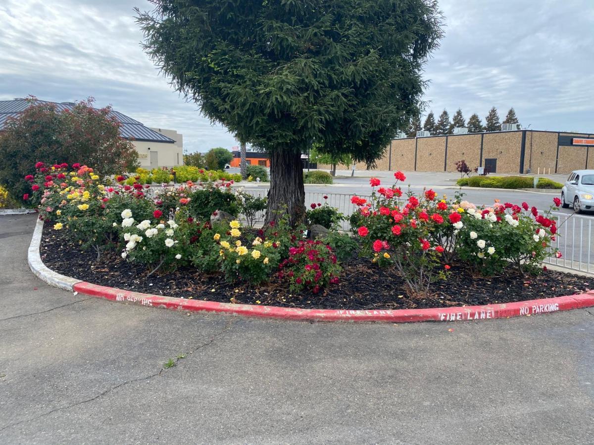 Oasis Sacramento- Elk Grove Motel 2*